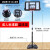 乃力 标准篮球架 可升降篮球框移动简易篮球架 家用户外篮球架 标准版 伸缩调节+标准框+框网
