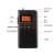 米跃RIZFLY  W202双波段DSP老年人收音机携带方便支持AM/FM带定时开关机功能时钟显示5号干电池供电 黑色W202L 用2节5号干电池供电