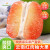 Yumsun云南红肉柚   香甜可口  鲜嫩多汁  下单即发  单果0.8-1.2kg 1个装