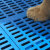 梦雷宠狗垫子塑料垫板狗笼子脚垫板散热板宠物垫大中小犬猫可拼接 56×42cm不可拼接1cm厚 蓝色