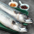 纯色本味 冷冻青花鱼(鲭鱼）日料生鲜 烧烤食材 海鲜水产  1kg/袋