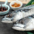 纯色本味 冷冻青花鱼(鲭鱼）日料生鲜 烧烤食材 海鲜水产  1kg/袋