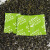 枫摇叶 5克g茶叶专用保鲜剂 小包脱氧剂 花茶绿茶除湿干燥剂 200袋