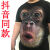 3D个性立体搞笑猩猩猴子动物短袖男滑稽大码胖子T恤印花恶搞衣服P 猩猩 L【适合125-138斤穿】