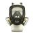 耐呗斯（NABES）双滤盒面具8801系列 TPE款 防尘及综合气体 呼吸防护全面罩 8801TND防多种气体四件套 