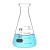 纳仕德 SY4062 玻璃锥形瓶 带刻度化学实验室敞口烧杯 高硼硅三角烧瓶 直口（300ML） 