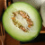 山东海阳网纹瓜 1个装 净重约1.5kg-2kg  蕾丝瓜  新鲜水果