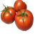 东升农场 大红番茄 西红柿 约900g 新鲜蔬菜