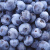 智利进口精选蓝莓 2盒 125g/盒 自营水果 新鲜水果