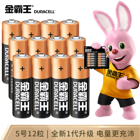 金霸王(Duracell)5号电池12粒装 碱性干电池五号 适用于计算器无线鼠标挂钟电子门锁电子秤遥控器儿童玩具等