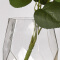 豪斯特丽/HOSTLY 简约花瓶 透明工艺玻璃花摆件 纯手工玻璃水培花瓶 几何玻璃花瓶 一对(2019-LH)