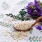 十月稻田 高粱米 （白高粱米 东北 五谷 杂粮 粗粮 真空装 大米 粥米伴侣）1kg