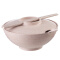 爱思得（Arsto）稻壳泡面碗带盖大号多功能餐具套装带筷勺微波炉可用5197麦色