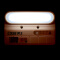苏灵 特价劳士高亮度盒装壁灯应急照明灯新国标LED消防应急灯故障语音