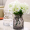 豪斯特丽（HOSTLY） 现代创意波点花瓶玻璃透明客厅插花桌面摆件小清新家居餐桌装饰 单个花瓶 透明烟色一对