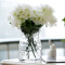 豪斯特丽（HOSTLY） 现代创意波点花瓶玻璃透明客厅插花桌面摆件小清新家居餐桌装饰 单个花瓶 透明烟色一对