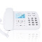 飞利浦（PHILIPS） CORD168 大屏大按键报号家用电话机座机电话办公电话机 来电显示有线坐机固话机   白色