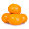 南非进口柑桔 6个装 单果约110-140g 新鲜水果
