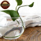 帕莎帕琦（Pasabahce） 圆形玻璃水培花瓶花盆绿萝铜钱草透明水养植物 高 20CM