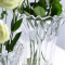 Delisoga 透明玻璃花瓶 创意冰恋款小号 欧式简约干花水培插鲜花工艺品摆件 家用客厅办公桌装饰 家居创意