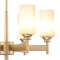 雷士（NVC）美式吊灯客厅创意现代简约欧式铁艺灯具灯罩铜色美式吊灯 6头 E27 赠送光源