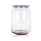 乐美雅 弓箭凝彩冰粉 玻璃罐 储物罐 密封罐 玻璃瓶杂粮储物罐 0.75L