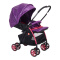 gb好孩子婴儿推车 轻便折叠可坐可躺双向推行蜂鸟系列婴儿车 紫色C828-A-N224RP