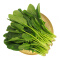 绿鲜知 菠菜 约400g  火锅食材 新鲜蔬菜