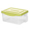 百露厨房冰箱米面收纳箱水果蔬菜保鲜盒防虫防潮储物箱密封收纳盒 小号绿色