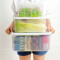 百露大容量冰箱食品收纳盒厨房塑料冷冻储物蔬菜保鲜盒密封长方形带盖 小号单个