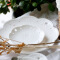 瓷工巧匠 创意水果盘干果盘点心托盘陶瓷欧式浮雕纯白色3件套装 花瓣果盘