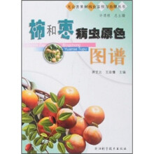 书籍图片