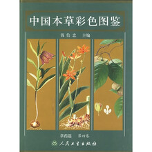 书籍图片