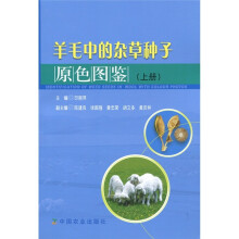 书籍图片