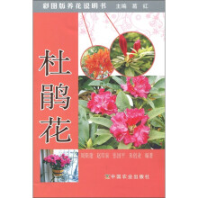 书籍图片