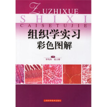 书籍图片