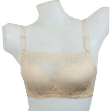 施魅儿镶钻式蕾丝网纱<em>女士</em>内衣<em>胸罩</em>聚拢内托调