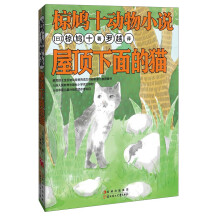 书籍图片