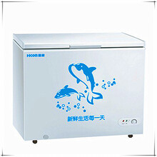 惠康(HICON) BD\/BC-358DH双开门冷柜 冷藏冷