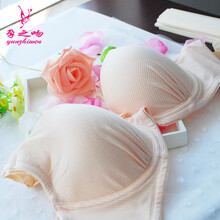 孕之吻 孕妇内衣<em>哺乳文胸聚拢</em>纯棉带钢圈开前