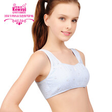 可娃衣发育期少女<em>文胸</em> 可爱<em>宽肩</em>薄棉学生内衣
