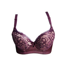 <em>货到付款</em> 莎莲妮内衣 高贵迷人刺绣调整型<em>特厚</em>