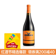 12.5°禾富山谷橡木桶陈酿2013西拉葡萄酒75