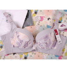 <em>菲黛尔</em>内衣 fidele 花舞古今系列 3/4薄定型魔术