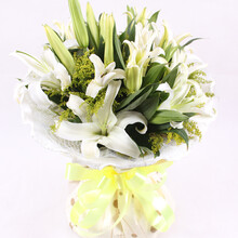 花之苑百合花束北京上海广州成都花店送花生日