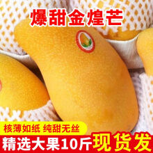 锁季海南金煌芒果新鲜10斤特大一级三亚特产热带水果当季整箱水仙青皮 9斤