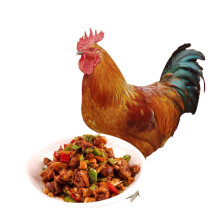 对面小城 新鲜大公鸡散养 生鲜柴鸡走地鸡 嫩鸡肉 整鸡 公鸡杀前约2.7斤