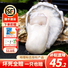 鲜海道【活鲜】鲜海道生蚝  乳山牡蛎 新鲜海蛎子生鲜贝类 特大号4XL5斤送酱（10-14只））