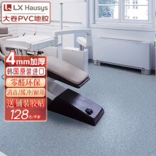 LX HAUSYSLG进口PVC地板塑胶软地板防水耐磨消音健身房舞蹈室弹性地胶4mm厚 清水蓝【加厚4.0mm】