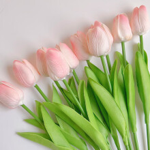 塔洛克（tulloch）郁金香假花仿真花摆设房间卧室客厅家居装饰餐桌摆件干花永生花束 10朵粉白色